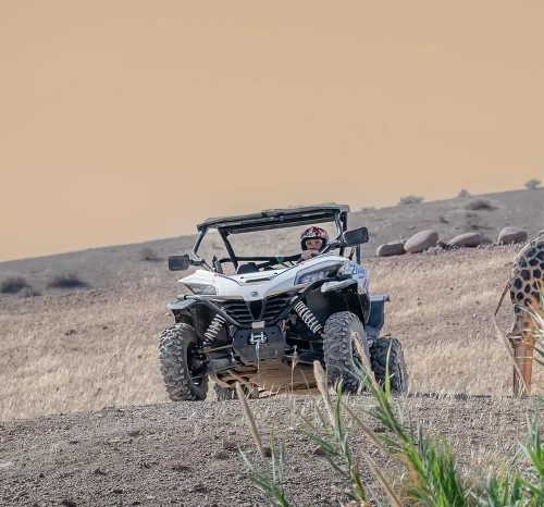Agafay en Buggy au Coucher de Soleil avec Dîner traditionnel