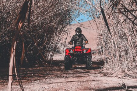 QUAD BAMBOO