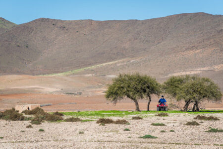 QUAD-JBILET-ACACIAS-450