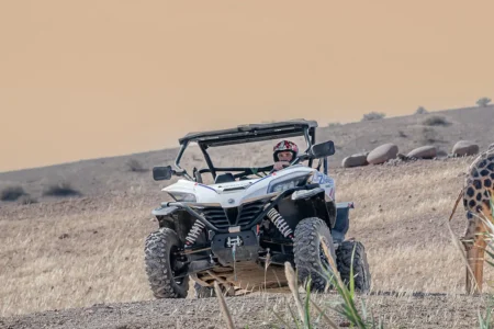 buggy (1)
